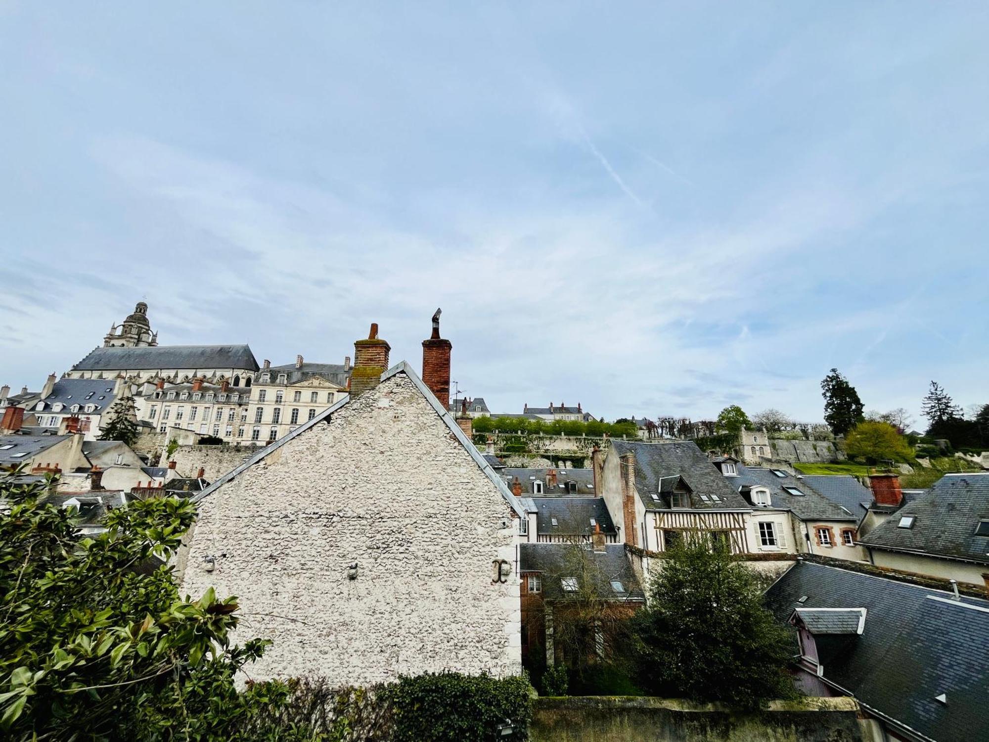 Vue Loire, Hypercentre, Spacieux, Familial, Climatise, Le Quai De Loire Apartment Blois Luaran gambar